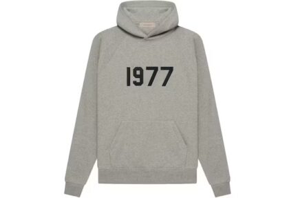 Essentials 1977 Hoodie - Dark Gray